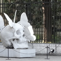 20100424 191513